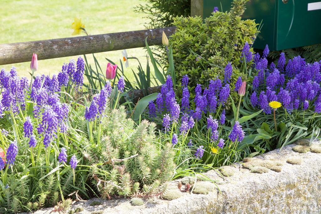 La Petite Chesnee Homestay Sacey