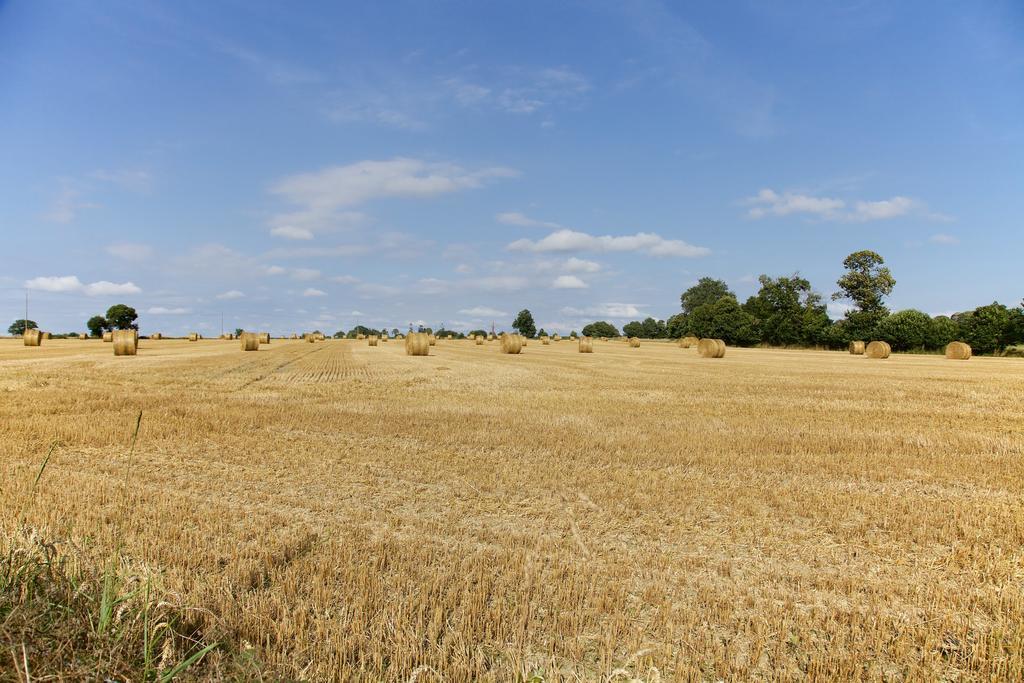 Homestay La Petite Chesnee *