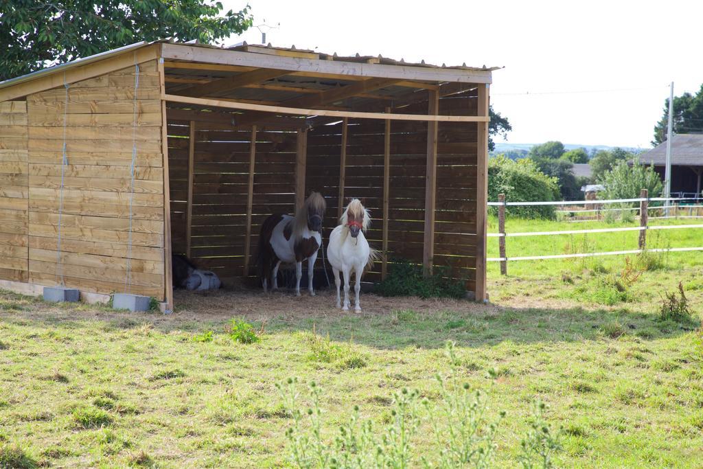 La Petite Chesnee Sacey