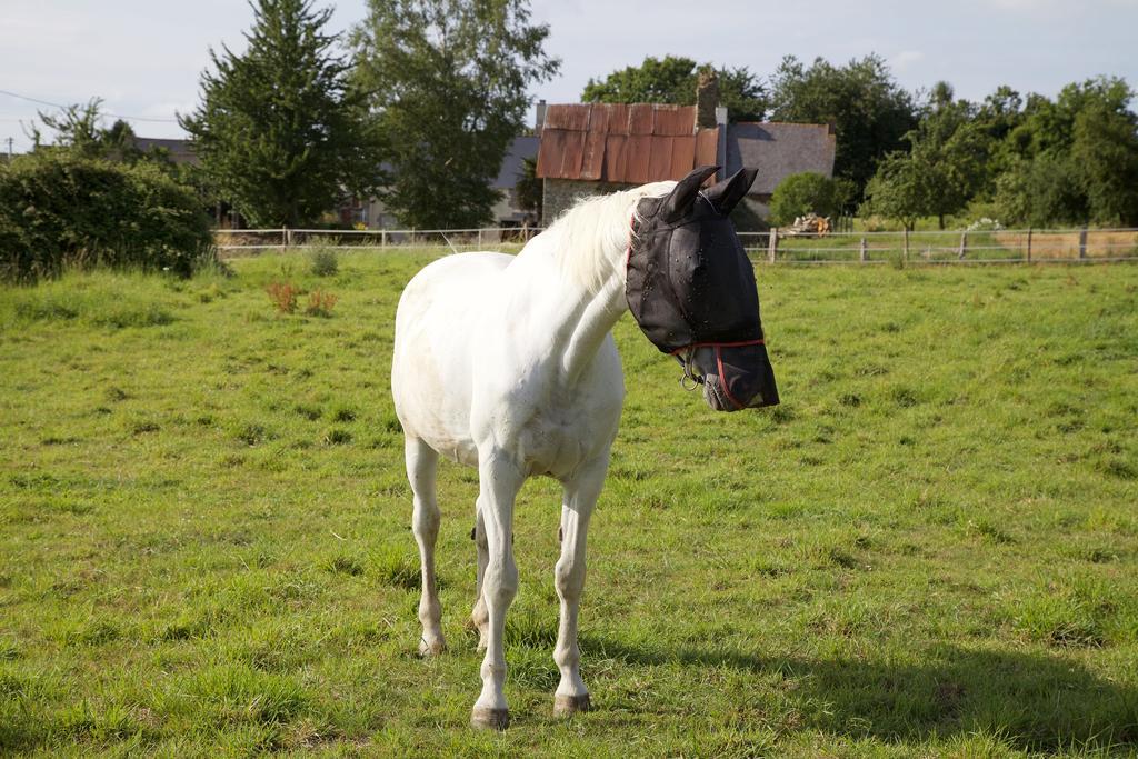 La Petite Chesnee *