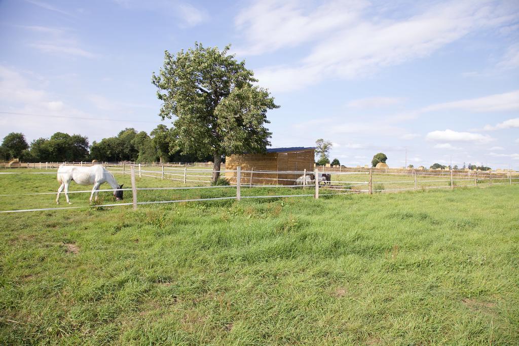 La Petite Chesnee Homestay