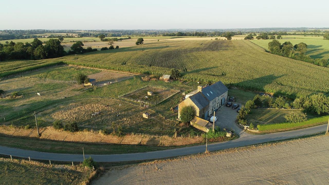 La Petite Chesnee Sacey